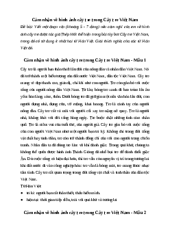 Văn mẫu lớp 6: Đoạn văn cảm nhận về hình ảnh cây tre trong bài Cây tre Việt Nam | Kết nối tri thức