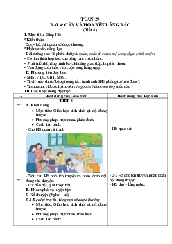 Bài 4 Tuần 29 Tiết 8 | Giáo án Tiếng Việt 2 học kì 2 | Chân trời sáng tạo