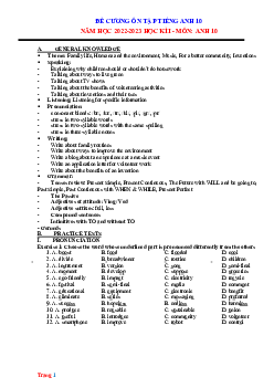 Đề cương ôn tập HK1 Tiếng Anh 10 năm 2022-2023