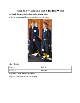 Tiếng Anh 7 Cánh Diều Unit 3 The Real World