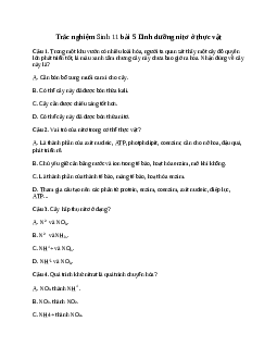 Trắc nghiệm Sinh học 11 Bài 5| Kết nối tri thức