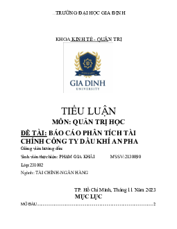 Báo cáo phân tích tài chính công ty dầu khí An Pha - Tiểu luận môn Quản trị học | Đại học Gia Định