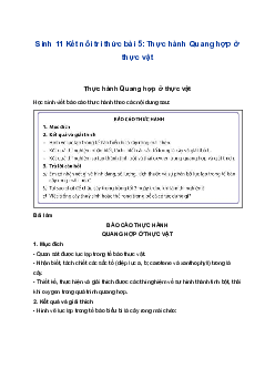 Sinh 11 Kết nối tri thức bài 5: Thực hành Quang hợp ở thực vật