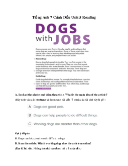 Tiếng Anh 7 Cánh Diều Unit 5 Reading