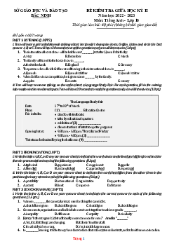 Đề kiểm tra giữa học kỳ 2 Tiếng Anh 10 Sở GD Bắc Ninh 2022-2023 (có đáp án)