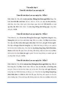 Văn mẫu lớp 6: Tóm tắt văn bản Lao xao ngày hè (5 mẫu) - Chân Trời Sáng Tạo