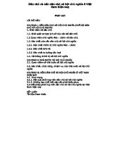 Tiểu luận: Dân chủ và XHCN ở Việt Nam Hiện Nay (Chính trị 101)