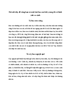Nói nối tiếp để cùng bạn tả một loài hoa em biết, trong đó có hình ảnh so sánh Tiếng việt 4 Chân trời sáng tạo