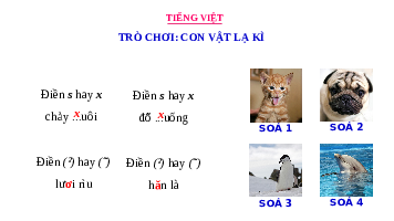 Giáo án điện tử Tiếng Việt 3 Tập 2 Bài 21 Kết nối tri thức: Nhà rộng - Viết