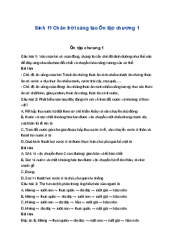 Sinh 11 Chân trời sáng tạo Ôn tập chương 1