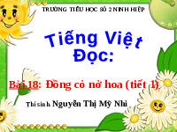 Giáo án điện tử  Tiếng Việt 4 KNTT -  Kết Nối Tri Thức:  Đọc: Đồng cỏ nở hoa.