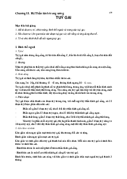 Nội dung lý thuyết môn Giải phẫu nội dung về: Chương 11 Hệ thần kinh trung ương - Tủy gai