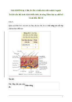 Giải KHTN 8 Bài 36: Da và điều hòa thân nhiệt ở người | Cánh diều