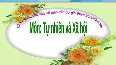 Giáo án điện tử Tự nhiên và xã hội 2 Bài 9 Cánh diều: An toàn khi đi trên phương tiện giao thông