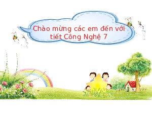 Bài 16: Thực hành. Lập kế hoạch nuôi cá cảnh | Bài giảng PowerPoint Công nghệ 7 | Kết nối tri thức