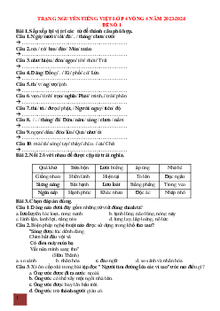 Đề thi Trạng nguyên Tiếng Việt lớp 4 năm 2023 - 2024 Vòng 4