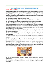 Bài tập đúng sai Carbohydrate | Chuyên đề Hóa 12