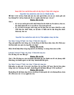 Soạn Ngữ văn 6 sách Chân trời sáng tạo bài Con muốn làm một cái cây