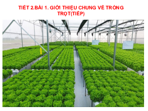 Bài giảng điện tử môn Công nghệ 7 Bài 1: Giới thiệu chung về trồng trọt (Tiết 2) | Cánh diều