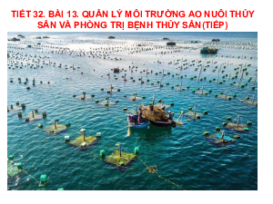 Bài giảng điện tử môn Công nghệ 7 Bài 13: Quản lí môi trường ao nuôi và phòng, trị bệnh thuỷ sản (Tiết 32) | Cánh diều
