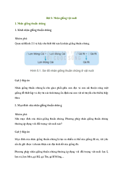Giải Công nghệ 11 Bài 5: Nhân giống vật nuôi | Kết nối tri thức