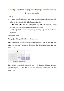 Giải Khoa học tự nhiên 7 Bài 31: Thực hành chứng minh thân vận chuyển nước và lá thoát hơi nước | Chân trời sáng tạo