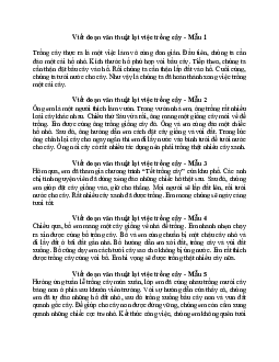 Viết đoạn văn thuật lại việc trồng cây | Tập làm văn lớp 2 | Chân trời sáng tạo