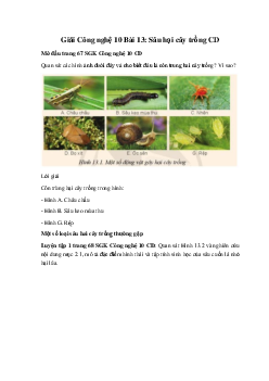 Giải Công nghệ 10 Bài 13: Sâu hại cây trồng CD