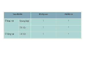 Bài giảng điện tử môn Khoa học tự nhiên 7  Sinh Học Bài 28: Trao đổi khí ở sinh vật | Kết nối tri thức