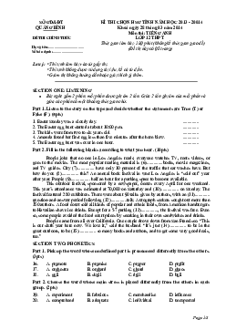 Đề thi chọn HSG Tiếng Anh 12 tỉnh Quảng Bình năm học 2013-2014