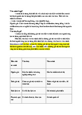 Văn minh và Văn hóa: Phân Tích So Sánh Các Khái Niệm Cơ Bản