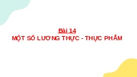 Giáo án điện tử Khoa học tự nhiên 6 bài 14 Chân trời sáng tạo : Một số lương thực, thực phẩm