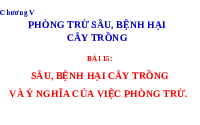 Giáo án điện tử Công nghệ trồng trọt 10 Bài 15 Kết nối tri thức: Sâu, bệnh hại cây trồng và ý nghĩa của việc phòng trừ