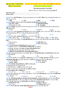 Đề Minh Họa Thi Tốt Nghiệp THPT 2023 Môn Sinh Bộ GD&ĐT (Có Đáp Án)