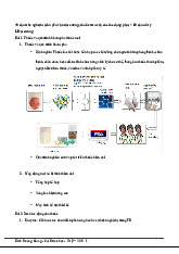 Trắc nghiệm và Kiến thức Thuốc Virut | Hoá trị liệu | Trường Đại học Khoa học Tự nhiên, Đại học Quốc gia Hà Nội