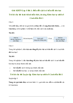 Giải KHTN 8 Bài 1: Biến đổi vật lí và biến đổi hóa học | Cánh diều