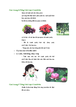 Giải SGK môn Tiếng việt 2 - Bài 21: Quan sát tranh ảnh cây, hoa, quả (1) | Cánh Diều