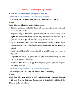 Soạn bài Trò chơi cướp cờ trang 45 | Ngữ Văn 7 Chân Trời Sáng Tạo tập 2