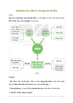 Giải Khoa học lớp 4 Bài 22: Ôn tập chủ đề Nấm | Kết nối tri thức
