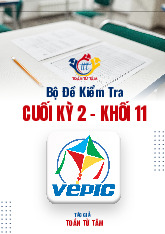 Bộ đề kiểm tra cuối kỳ 2 Toán 11 Cánh Diều năm học 2024 – 2025