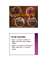 Bài giảng môn Sinh học tế bào | Trường Đại học Bách Khoa Hà Nội