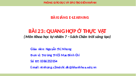 Giáo án điện tử Khoa học tự nhiên 7 bài 23 Chân trời sáng tạo : Quang hợp ở thực vật