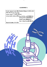 Lab Report 4: Enzyme Activity of Amylase and Catalase in Biology | Môn Biology - Trường Đại học Quốc tế, Đại học Quốc gia Thành phố Hồ Chí Minh