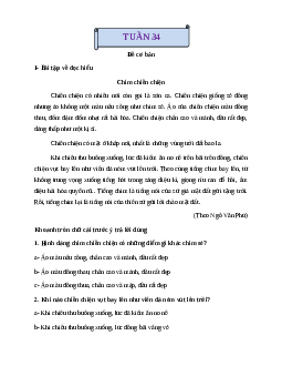 Phiếu Bài tập cuối tuần tiếng Việt lớp 2 học kì 2 | Cánh diều Tuần 34 cơ bản