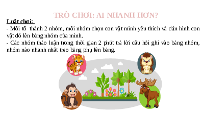 Giáo án điện tử Khoa học tự nhiên 7 bài 36 Kết nối tri thức :  Khái quát về sinh trưởng và phát triển ở sinh vật