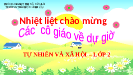 Giáo án điện tử Tự nhiên và Xã hội 2 Bài 24 Kết nối tri thức: Chăm sóc, bảo vệ cơ quan hô hấp