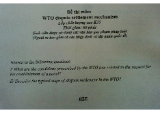 Đề thi cuối kỳ học phần WTO dispute settlement mechanism năm 2024 - 2025 | Đại học Luật Thành phố Hồ Chí Minh
