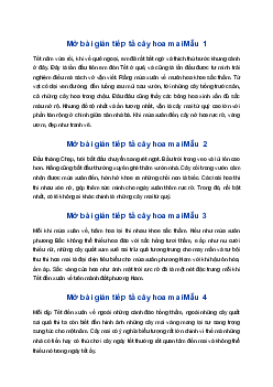 Viết đoạn mở bài gián tiếp cho bài văn Tả cây hoa mai | Tập làm văn 4