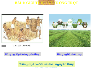 Bài 1: Giới thiệu về trồng trọt | Bài giảng PowerPoint Công nghệ 7 | Kết nối tri thức