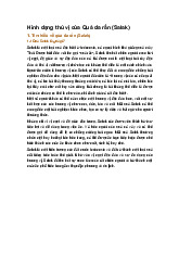 Hình dạng thú vị của Quả da rắn (Salak)